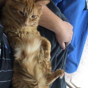 Meet your Posher, Robert